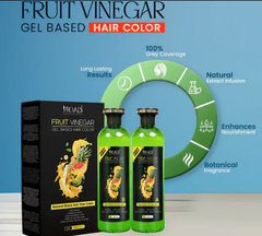 Fruit Vinegar Gel Based Hair Color 125ML (Pack of 2)